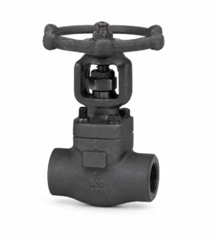 Forged valves